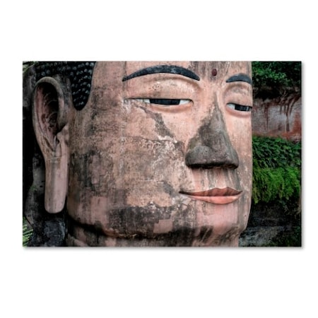 Philippe Hugonnard 'Giant Buddha X' Canvas Art,16x24